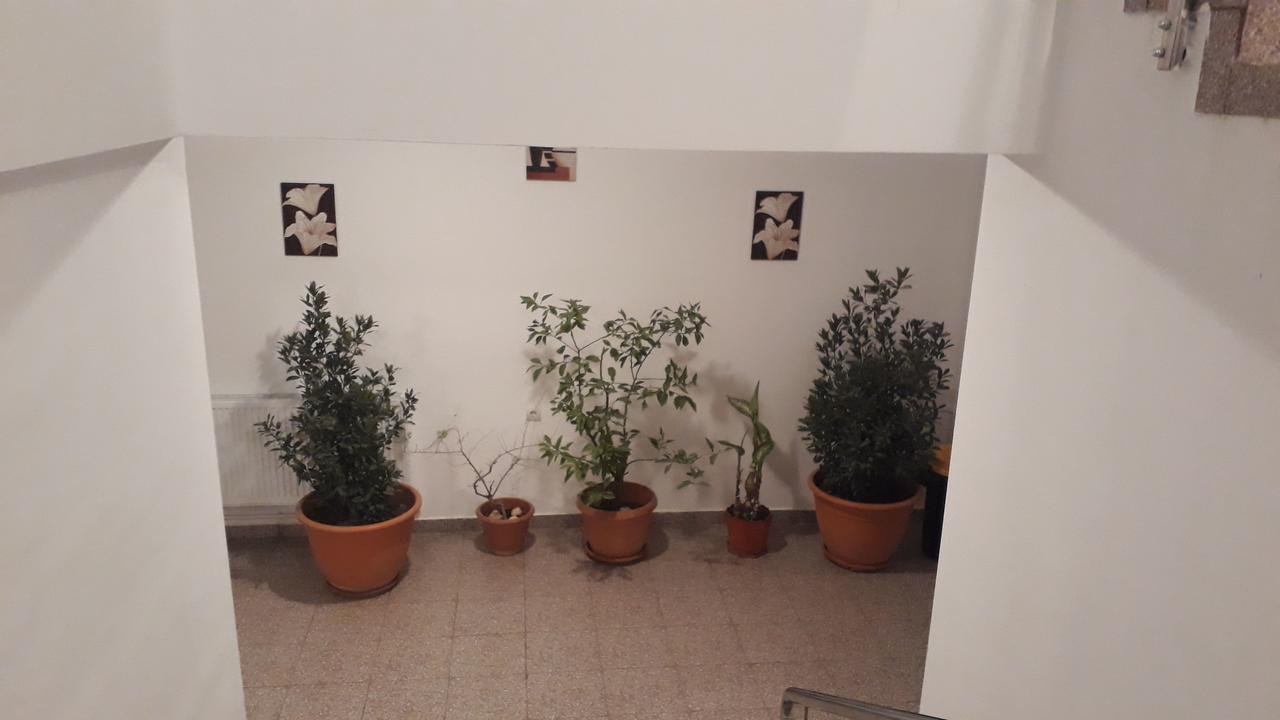 Casa Dobrescu Centura De Nord Hotell Craiova Exteriör bild